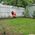 Ádám Lívia: A téma az utcán hever